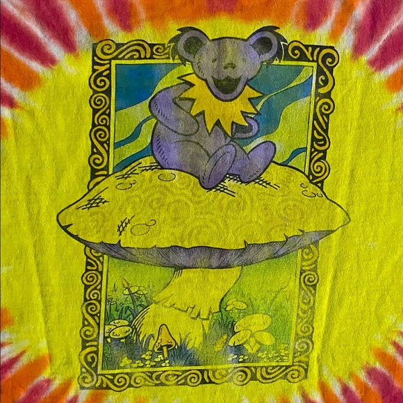 Vintage Grateful Dead 95’ Tee Size XL fruit of the loom tag - Picture 4 of 5